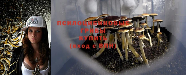 гидра Абдулино